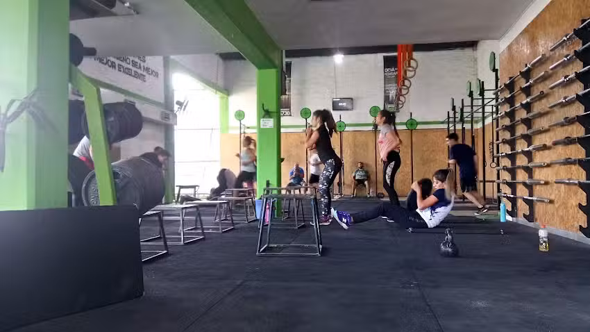 5730 Training Club Pringles