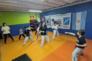 Academia Taekwondo Tradicional