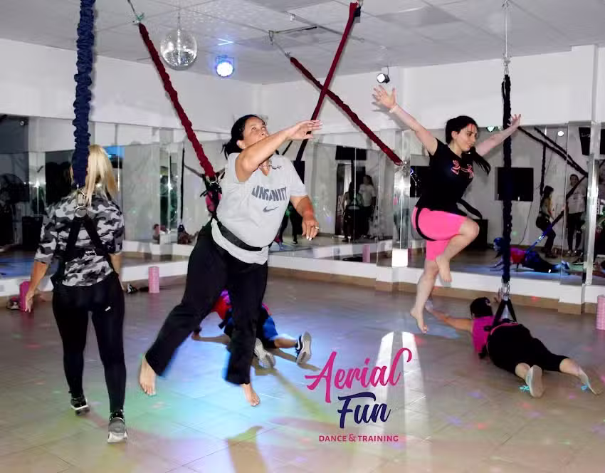 AerialFun Multiespacios