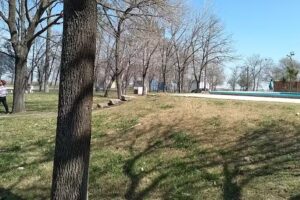 Aero club La Carlota