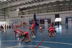 Aerodance Aerobics and Fitness