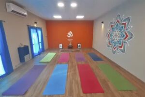 Ale Berardi Yoga Terapias