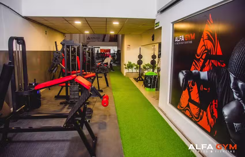 Alfa Gym &ndash; Fitness & Fighting