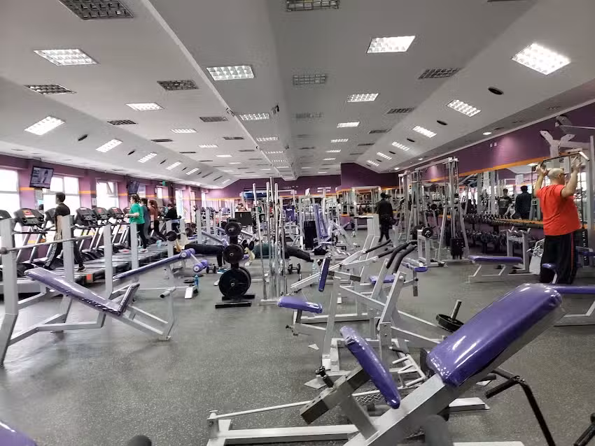 American Gym