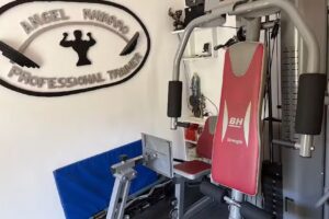 AN Professional Trainer.Sistema de entrenamiento personalizado nivel profesional