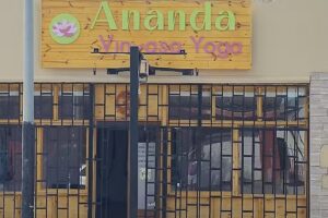 Ananda Vinyasa Yoga