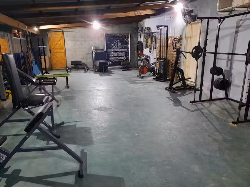 Animal gym