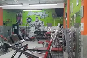 &Aacute;nimal GYM