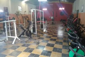 Animal Gym Gowland