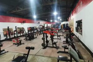 Animal Gym (musculacion)