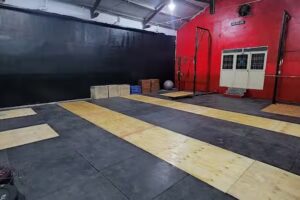 Animal gym ( musculacion + funcional)