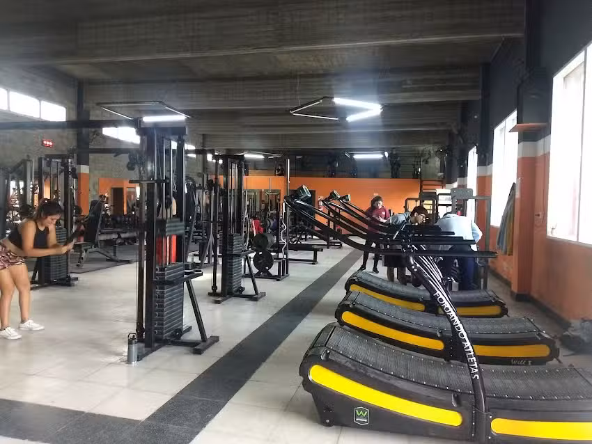&Aacute;rea 32 | Gimnasio
