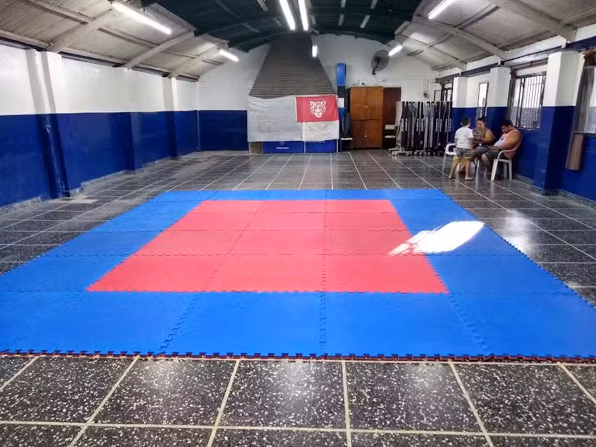 Asociaci&oacute;n Yusan de Tae Kwon-Do ITF &ndash; Sede Club Vito Dumas