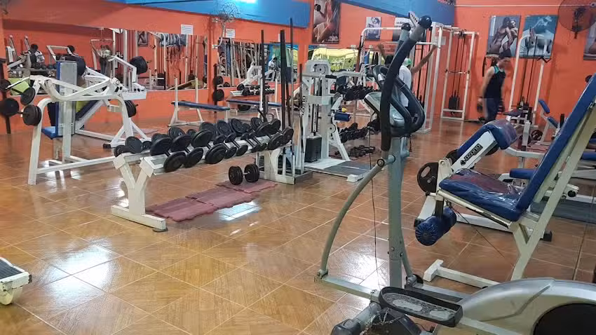 Bestia De Carga Gym