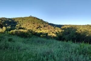 Bio Salud El Pueblito