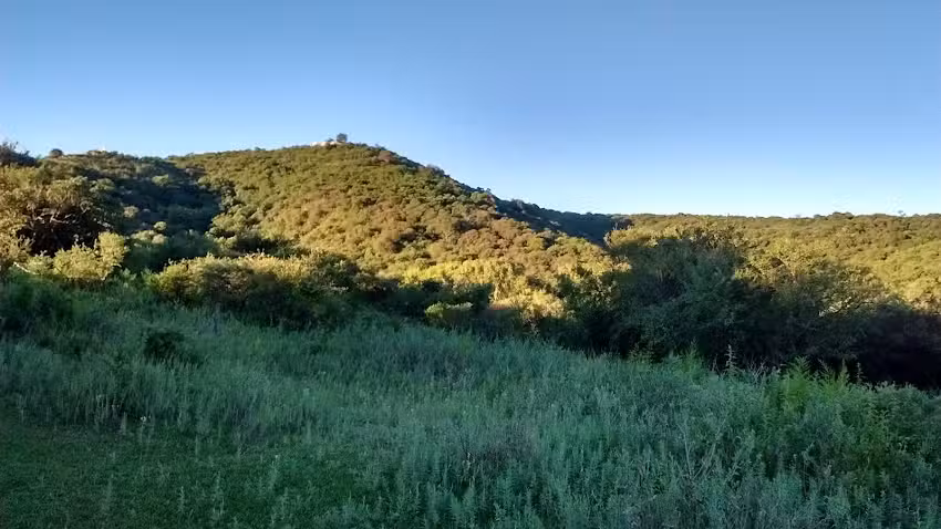 Bio Salud El Pueblito