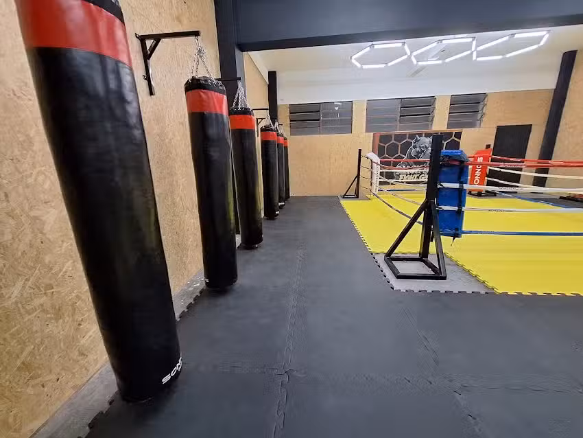 Black dog fight gym