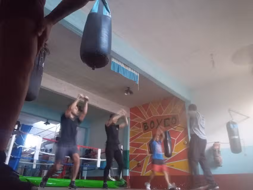 Boxeo F.A.E De Wilde