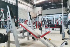 Bull Performance and Fitness