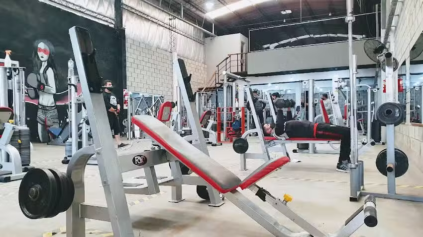 Bull Performance and Fitness