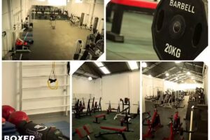 Bulls Factory | Ex Boxer Gym