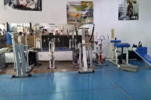 Bushido Gimnasio
