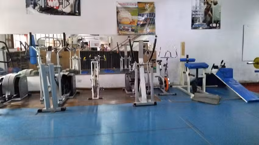 Bushido Gimnasio
