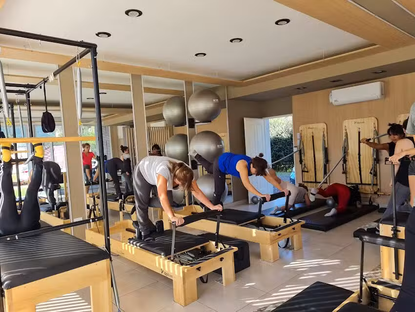 Calathea Pilates Yerba Buena