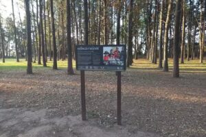 Camping Municipal Ram&oacute;n Mestre