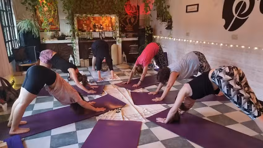 Centro de Yoga El Vicio de Ser