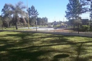 Club de Profesionales Universitarios Concordia – FUTBOL 11