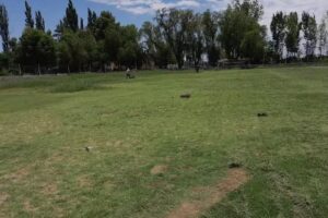 Club Social Y Deportivo RICARDO HERRERA El &Ntilde;ango