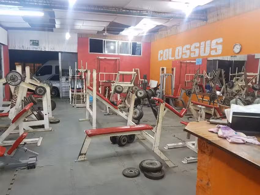 Colossus Gym