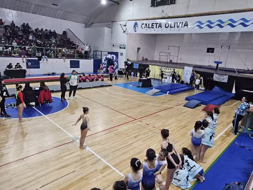 Complejo Deportivo Municipal &ldquo;Ingeniero Knudsen&rdquo;