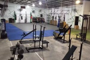 CONTROL GYM