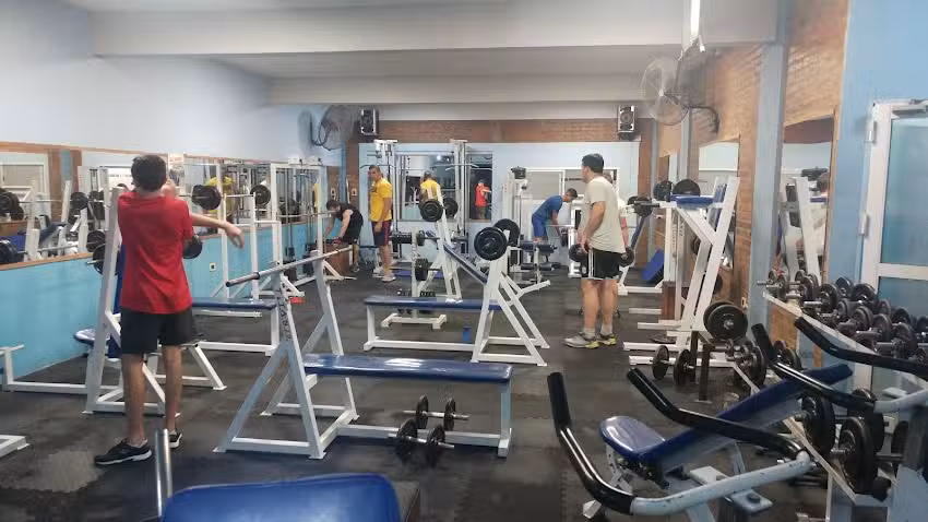 Da Vinci C A F &ndash; Pileta Climatizada