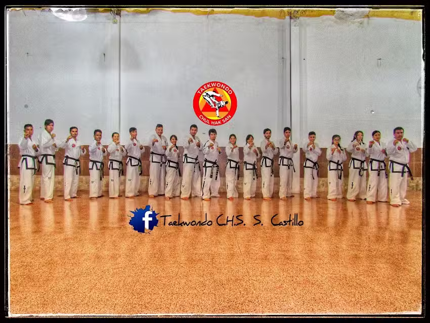 Defensa Personal &ndash; Taekwondo CHS