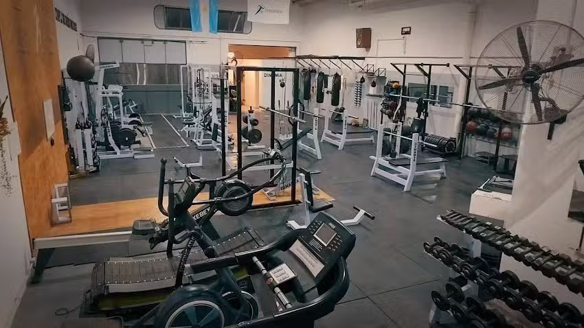 Dinamia Gimnasio