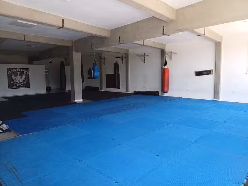 Dojo Randori