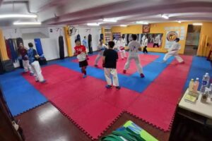 Dojo Samurai &ndash; Gimnasio Sofit