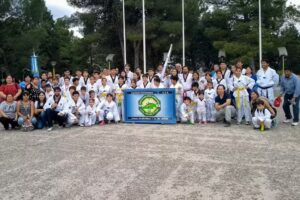 Doyang ACS-Taekwondo.