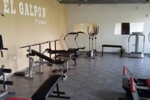 El galp&oacute;n fitness