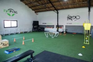 El Predio – Ciudad