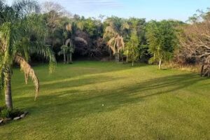 ElRinconcitoHolistico_byGisela