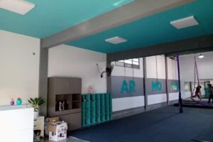 En Armon&iacute;a ( Gimnasia R&iacute;tmica)