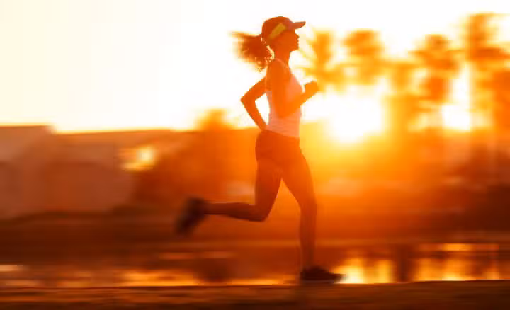 Equilibrio Multiespacio