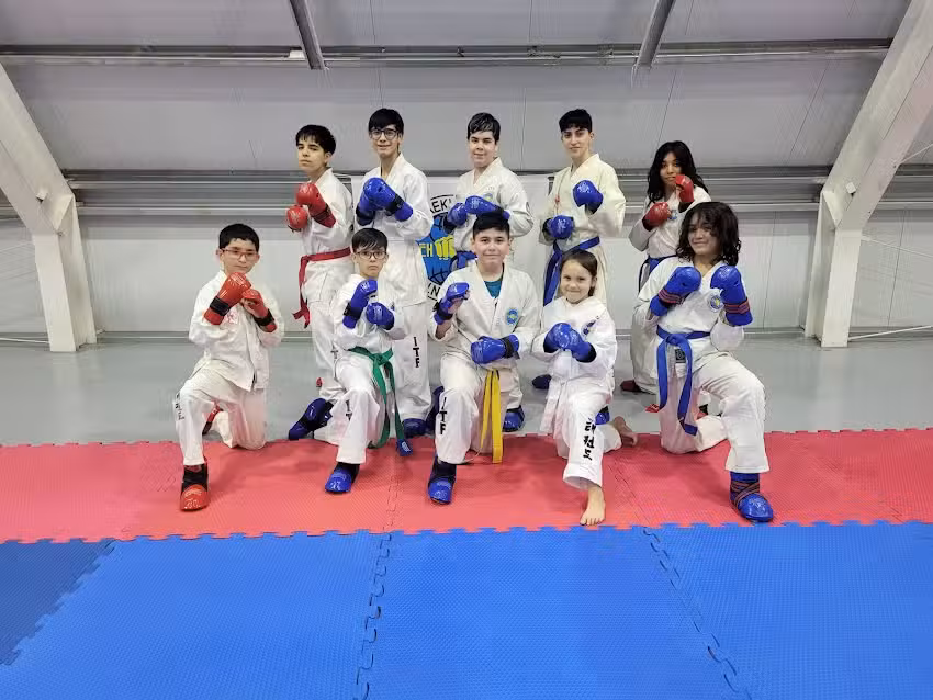 Escuela de Taekwon-Do Tradicional ITF