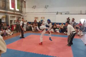 Escuela F&eacute;nix Ryu