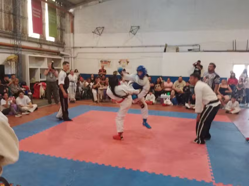 Escuela F&eacute;nix Ryu