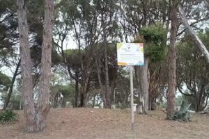 Estaci&oacute;n de salud